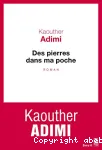 Des pierres dans ma poche vignette